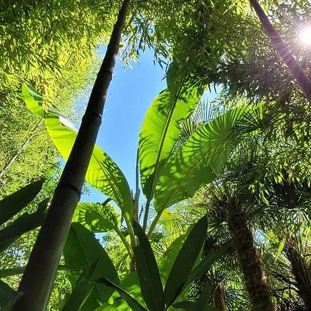 Maeva Escapades Le Domaine Aramis مكان تخييم Marsan