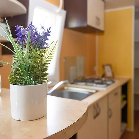 Maeva Escapades Le Domaine Aramis 4* Marsan