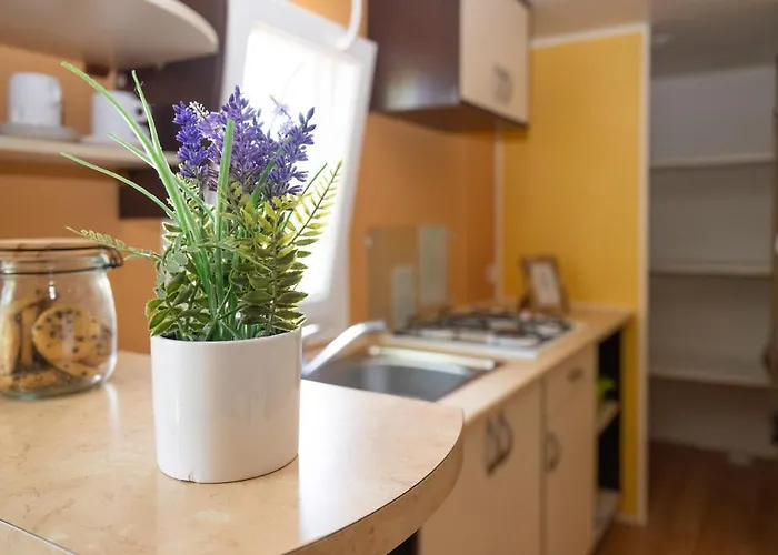 Maeva Escapades Le Domaine Aramis 4* Marsan